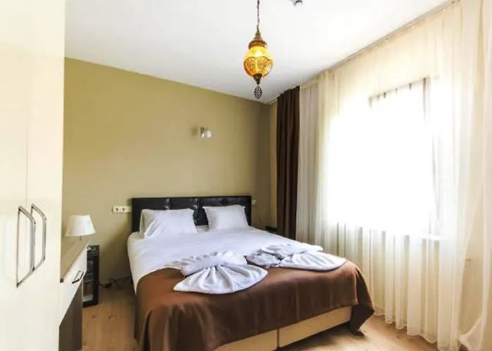 Serife Hanim Konagi *